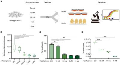 Transcriptome profile of halofuginone resistant and sensitive strains of Eimeria tenella